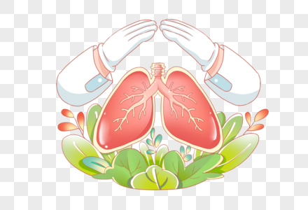 肺部图片_肺部素材_肺部高清图片_摄图网图片下载