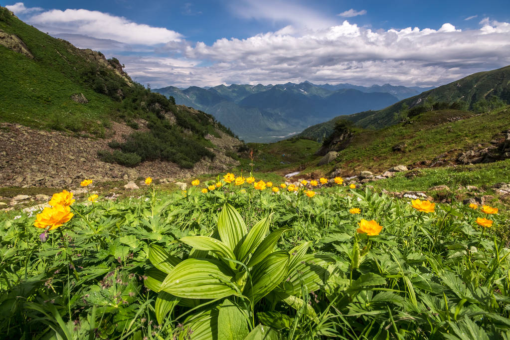 地球花_地球花素材图片_地球花图片素材下载_摄图新视界xsj.699pic.com