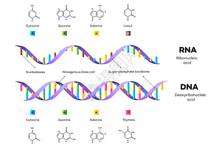 的分子高清图片下载-正版图片321487658-摄图网