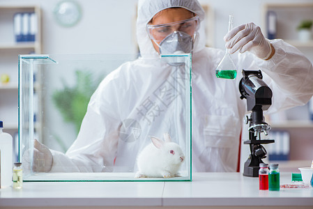 科学家在实验室里用兔高清图片下载-正版图片502552339-摄图网