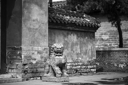 中国宫殿外传统雕塑石狮子高清图片下载-正版图片600197735-摄图网