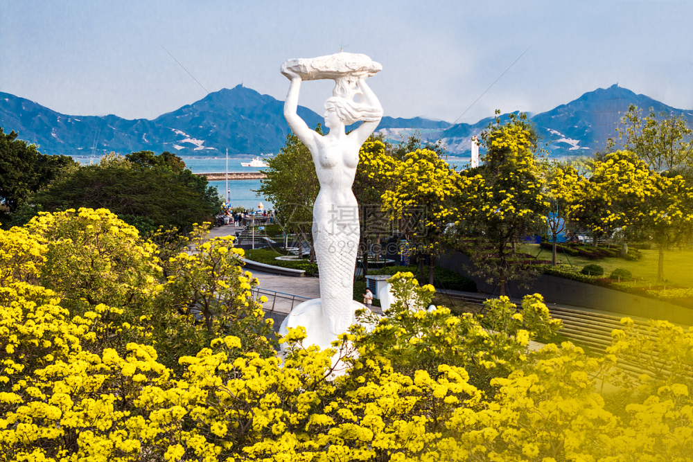 黄风铃花盛开时的深圳蛇口女娲补天雕塑高清图片下载-正版图片507787256