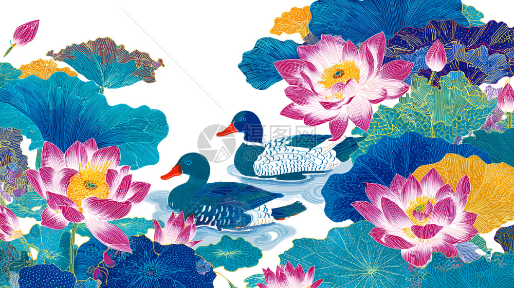 莲花池中游鸭与盛开的荷花插画图片下载-正版图片603318387-摄图网