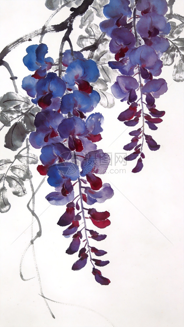 水墨画紫藤花垂落插画图片下载-正版图片604357836-摄图网