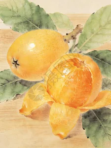 静物水彩画图片_静物水彩画素材_静物水彩画高清图片_摄图网图片下载_第6页